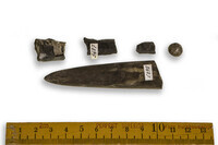 F 05427
<br/>
<br/>
<em></em>